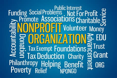 Non-profit organisation